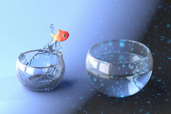 Gold fish jumping out of a small bowl into a larger bowl representing the wider world of digitization