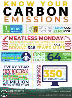 Carbon emissions poster