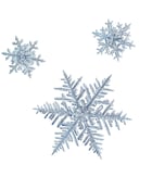 Snowflake 2 cropped (1)